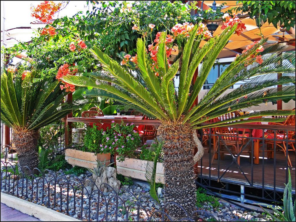 Kalathos Sun Hotel Exteriér fotografie